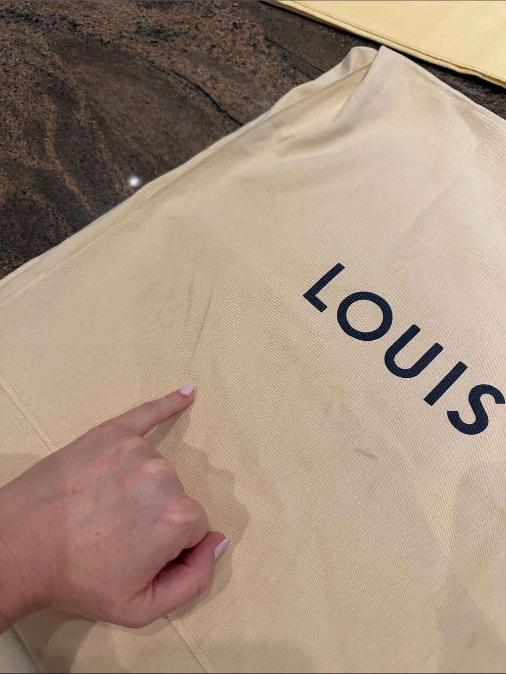 Louis Vuitton XL Dust Bag